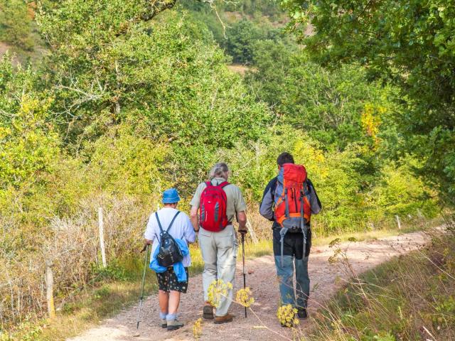 Trois personnes randonnent sur un chemin pédestre en pleine nature avec leur bâton de marche et leur sac à dos