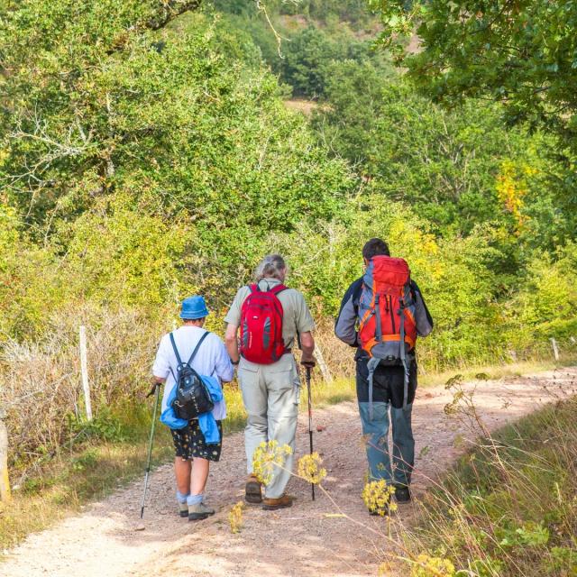 Trois personnes randonnent sur un chemin pédestre en pleine nature avec leur bâton de marche et leur sac à dos