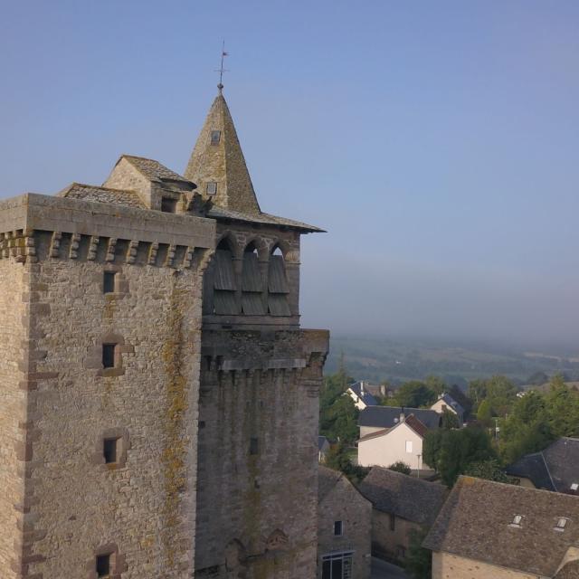 Vue en hauteur de l'église de Sainte-Radegonde et son clocher, avec le village autour