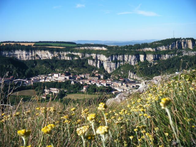 Vue en hauteur du village de Roquefort sur Soulzon au pied de la falaise