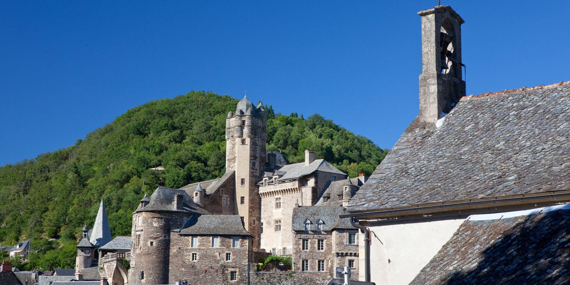 Château dominant le village d'Estaing et ses maisons en pierres grises, devant un massif arboré