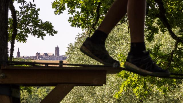 Paire de jambes en équilibre sur une corde dans les arbres lors d'un accrobranche, descendant d'un palier fixe en bois, avec une vue lointaine sur la cathédrale de Rodez
