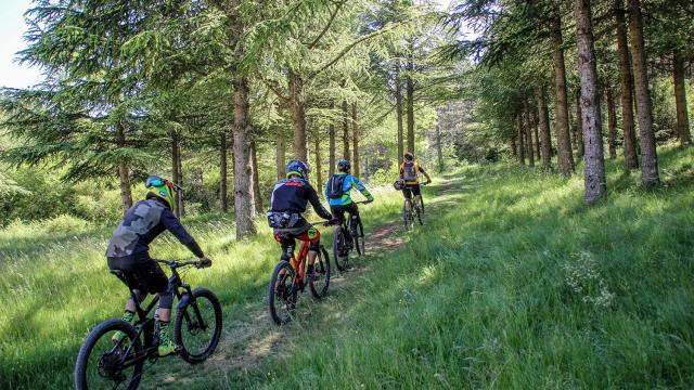 Groupe de personnes circulant en vélo VTT à la file, en forêt, équipées de casques, de gourdes et de sacs à dos