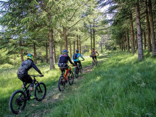 Groupe de personnes circulant en vélo VTT à la file, en forêt, équipées de casques, de gourdes et de sacs à dos