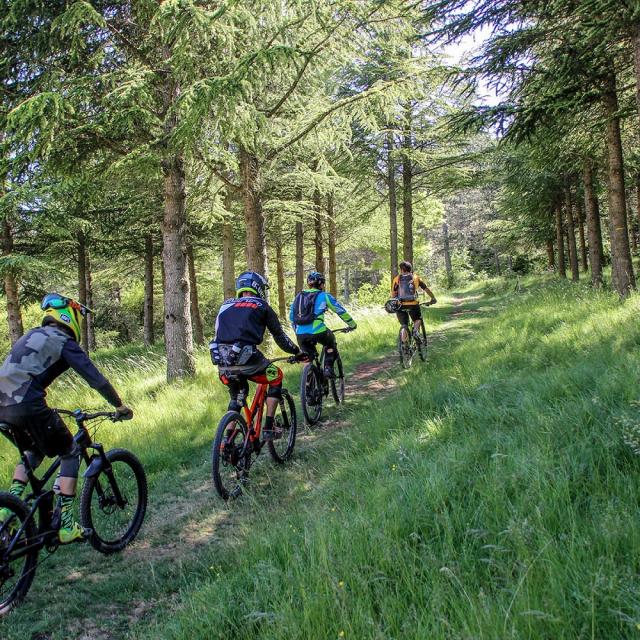 Groupe de personnes circulant en vélo VTT à la file, en forêt, équipées de casques, de gourdes et de sacs à dos