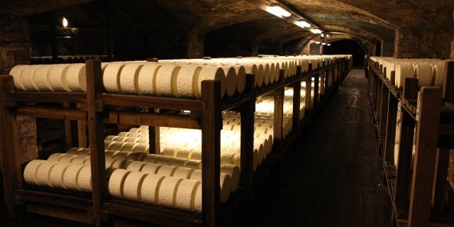 Rayonnages de meules de fromage Roquefort, dans leur cave, sur des étagères en bois