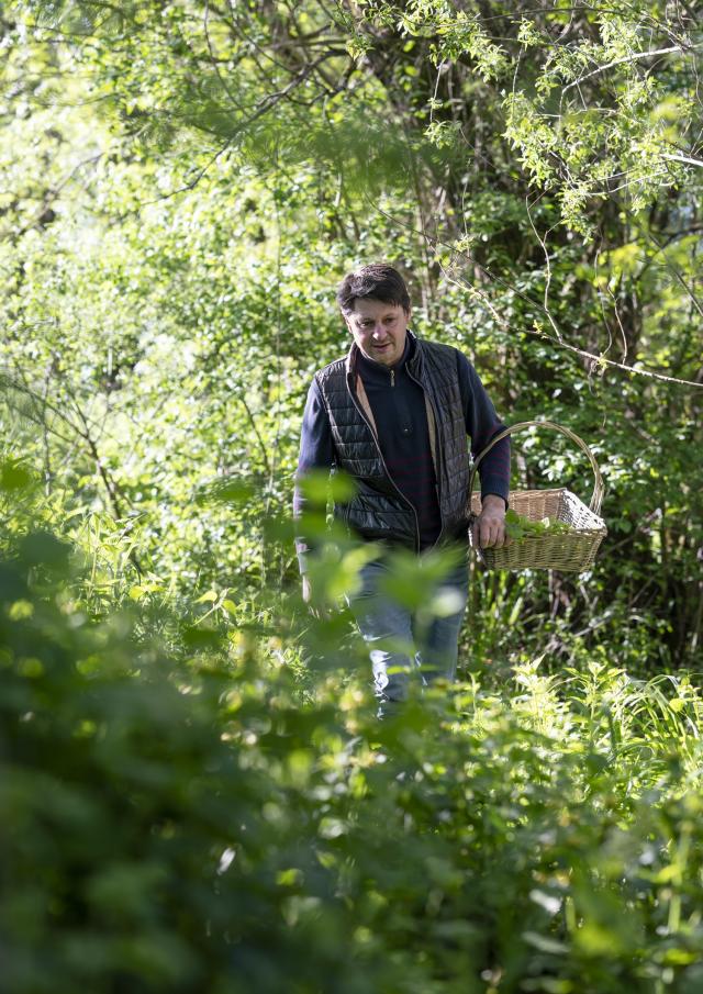 Hervé Busset en pleine nature pour sa cueillette de végétaux avec son panier en osier