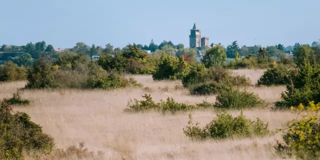 Eglise d'Inières cachée par le causse et ses herbes sauvages, sèches, et ses massifs à feuillage